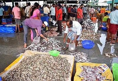 தடைக்காலம் முடிந்து முதல் விடுமுறைநாள்! மீன் வாங்க சந்தைகளில் குவிந்த கூட்டம்!