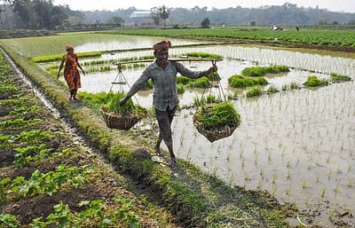 3 மாதங்களில் 1 லட்சம் விவசாயிகளுக்கு ரூ. 1,100 கோடி பயிா்க் கடன்