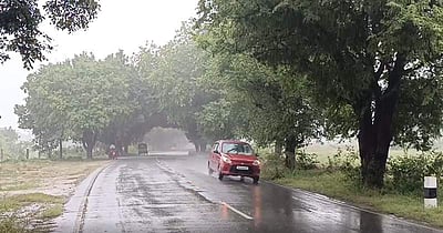 திருப்பத்தூர் மாவட்டத்தில் தொடர் மழை: பொதுமக்கள் அவதி!