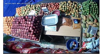 பழக்கடையில் பணத்தைத் திருடும் எலி: உரிமையாளர் அதிர்ச்சி