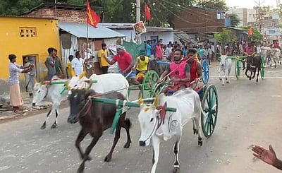 கம்பத்தில் இரட்டை மாட்டு வண்டி எல்கை பந்தயம்!