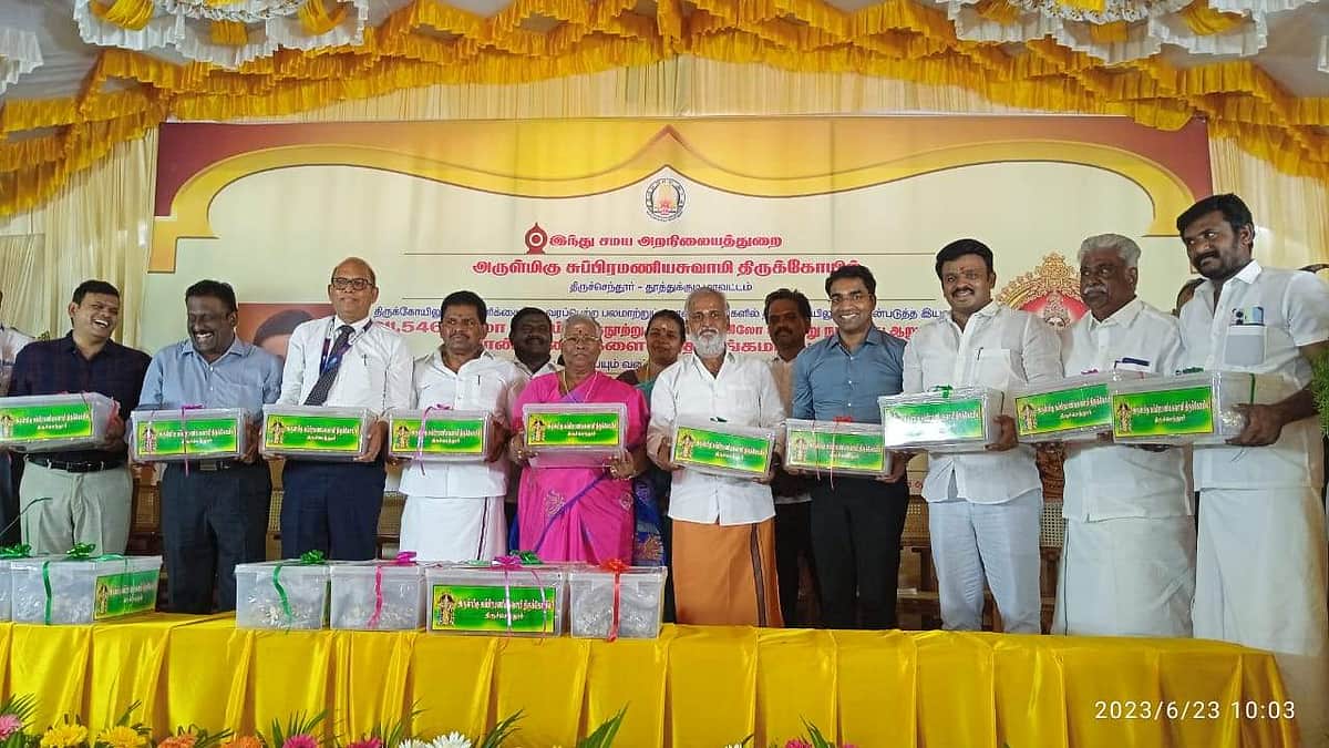 News image