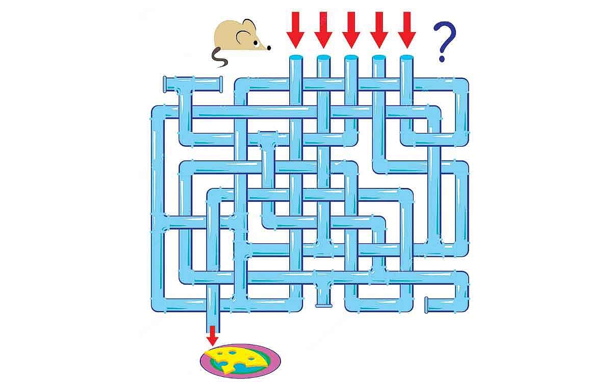 கண்டுபிடியுங்கள் பார்க்கலாம்