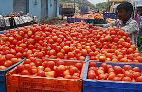 சென்னையில் தக்காளி விலை ரூ.50 ஆக குறைந்தது!