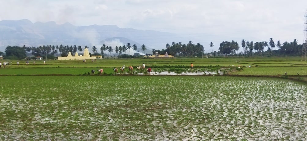 கூட்டுறவு மூலம் ரூ. 624 கோடி வேளாண் கடனுதவி: 80 ஆயிரம் விவசாயிகள் பயன்