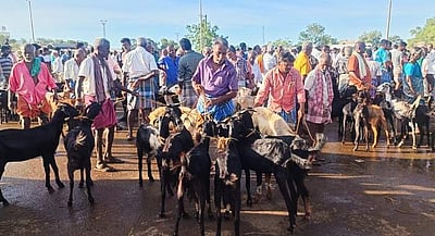 பக்ரீத் பண்டிகை: மணப்பாறையில் ரூ.1 கோடிக்கு மேல் ஆடுகள் விற்பனை!