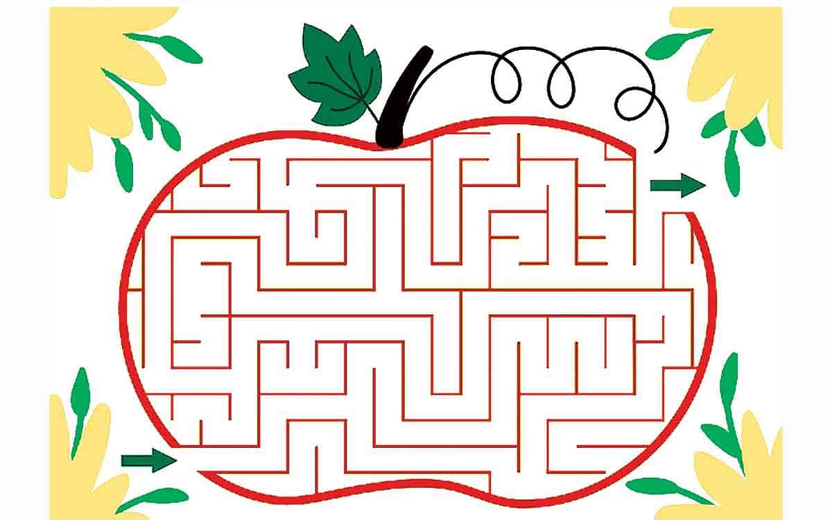 பாருங்கள்