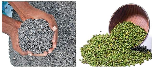 விவசாயிகளிடம் பருப்புகள் கொள்முதல் கட்டுப்பாடு நீக்கம்: மத்திய அரசு