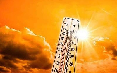 மெக்ஸிகோவை வதைக்கும் கடுமையான வெப்பம்: 100 பேர் பலி!