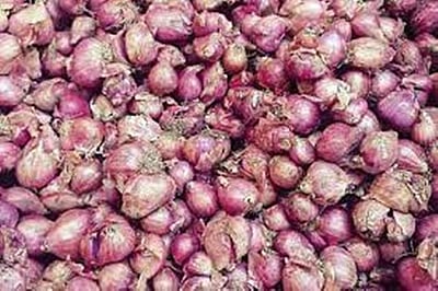 பருவ மழையைப் பொறுத்து சின்ன வெங்காயத்தின் விலையில் மாற்றம் இருக்கும்: வேளாண்மைப் பல்கலைக்கழகம்