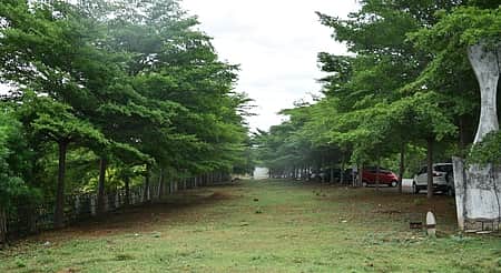 பசுமை வழித்தடத்தில் 9 திட்டங்களை முன்னெடுக்கும் திருச்சி பெல்! கரியமில வாயு உமிழ்வற்ற ஆலையாக மாற்ற முயற்சி