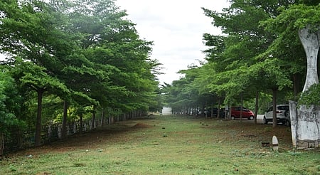 பசுமை வழித்தடத்தில் 9 திட்டங்களை முன்னெடுக்கும் திருச்சி பெல்! கரியமில வாயு உமிழ்வற்ற ஆலையாக மாற்ற முயற்சி