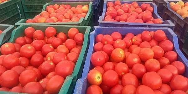 முக்கிய நகரங்களில் தக்காளி விநியோகிக்க மத்திய அரசு நடவடிக்கை 