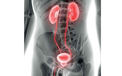 ஆயுள் காக்கும் ஆயுர்வேதம்: அடிக்கடி சிறுநீர் கழிக்காமல் இருக்க...