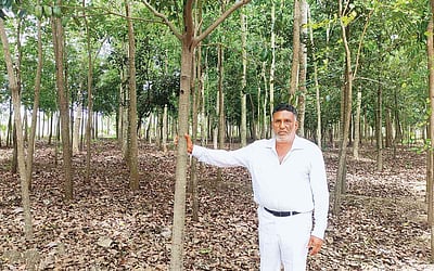 குறுங்காட்டில்  பள்ளிப் பாடம்..!