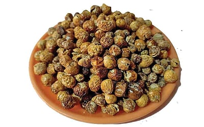 சுண்டைக்காய் வற்றல்