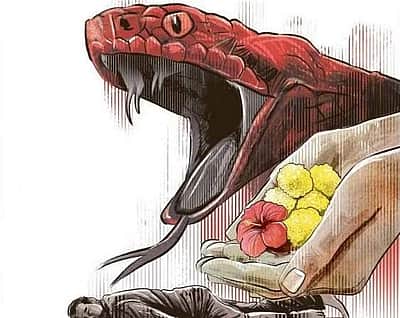 ஒவ்வொரு ஆண்டும் பாம்புக் கடியால் இத்தனை உயிரிழப்புகளா?