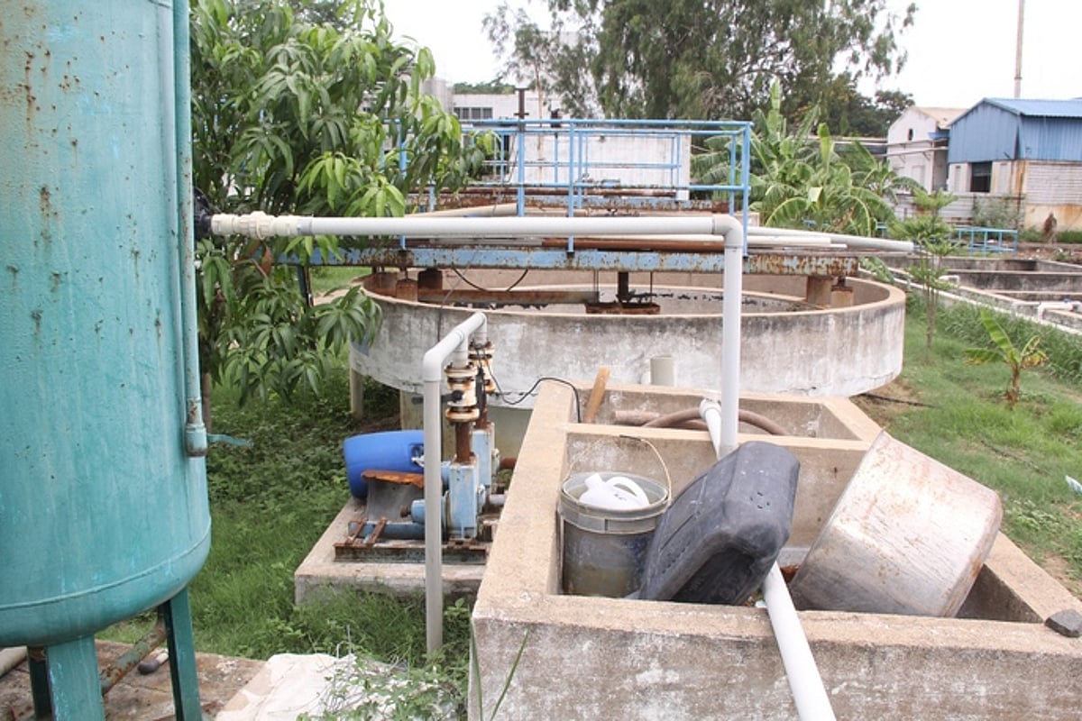 காக்களூா் ஆவினில் சுத்திகரித்த கழிவு நீா் மூலம் ‘பசுந்தீவனம் வளா்க்கும் திட்டம்’