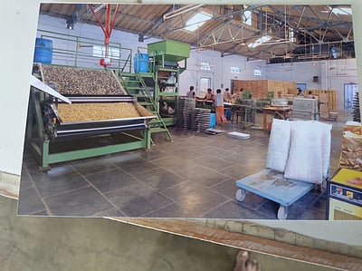 நூறாவது ஆண்டில் சிவகாசி தீப்பெட்டி!