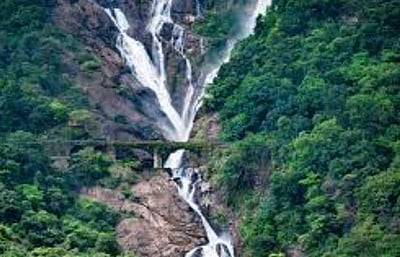 கோவாவில் 15 நீர்வீழ்ச்சிகளுக்கு தடை நீக்கம்!