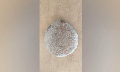 சாத்தூர் அருகே வெம்பக்கோட்டை அகழ்வாராய்ச்சியில் பச்சைகுத்த பயன்படும் அச்சு கண்டுபிடிப்பு