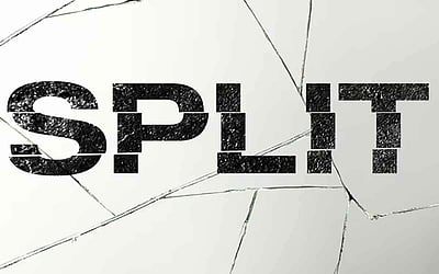 கட்சிப் பிளவுகளுக்குக் கடிவாளம் எப்போது?