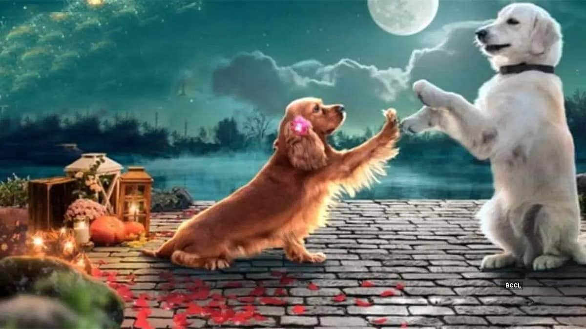 வலாட்டி படத்தின் டிரெய்லர் வெளியானது