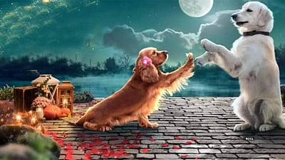 வலாட்டி படத்தின் டிரெய்லர் வெளியானது