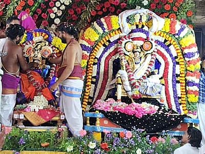 திருவாரூர் தியாகராஜ சுவாமி கோயிலில் திருக்கல்யாண உற்சவம்!