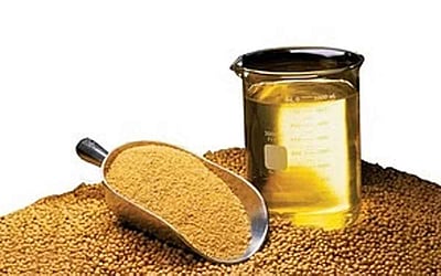 சமையல் எண்ணெய் விலை கடந்த ஆண்டை விட 29 சதவீதம் வரை குறைந்துள்ளது!