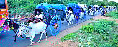 குலதெய்வ வழிபாட்டுக்காக அழகா் கோவிலுக்கு மாட்டுவண்டிகளில் பயணம்