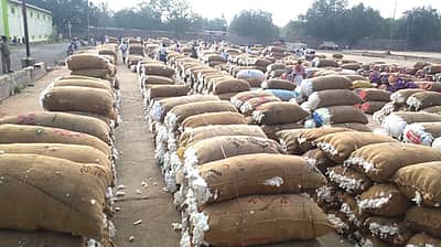 பருத்தி விலை குவிண்டாலுக்கு ரூ. 450 உயர்வு 