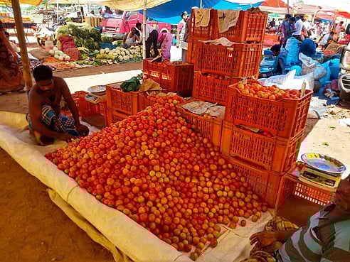 தட்டுப்பாடு கற்றுத்தரும் பாடம்: தக்காளி விலை உயர்வு குறித்த தலையங்கம்