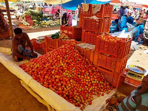 தட்டுப்பாடு கற்றுத்தரும் பாடம்: தக்காளி விலை உயர்வு குறித்த தலையங்கம்