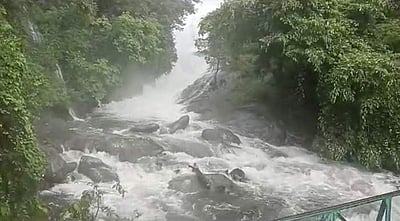 வெள்ளப்பெருக்கு... கோவை குற்றாலம் தற்காலிகமாக மூடப்படுவதாக வனத்துறை அறிவிப்பு