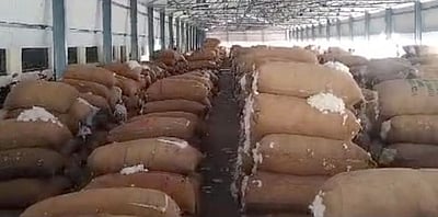 சுங்க வரி இன்றி பருத்தி இறக்குமதி! டிச. 31 வரை நீட்டிப்பு!