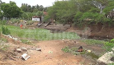 விஷம் வைத்து 20க்கும் மேற்பட்ட நாய்கள் கொலை: போலீசார் விசாரணை