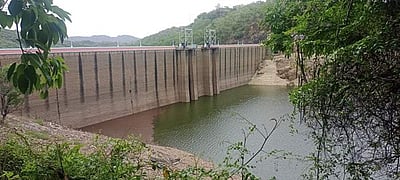 நீடிக்கும் மழை: பாபநாசம் அணை நீர்மட்டம் 60 அடியாக உயா்வு!