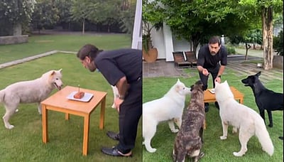 தோனி பகிர்ந்த பிறந்தநாள் விடியோ! அரை மணி நேரத்தில் 8 இலட்சம் லைக்குகள்! 