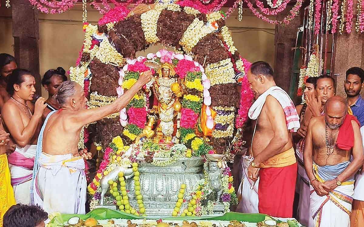 மயக்கும் மாங்கனித்  திருவிழா!