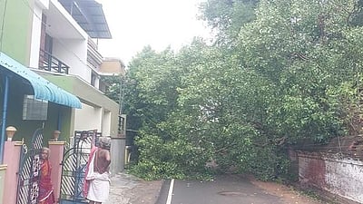 திருவாரூரில் கன மழை: பல்வேறு பகுதிகளில் மின்சாரம் துண்டிப்பு