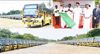 மஞ்சள் நிறப் பேருந்துகளை தொடங்கி வைத்தார் முதல்வர்