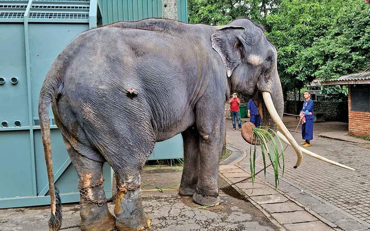 வரும்... ஆனா வராது!