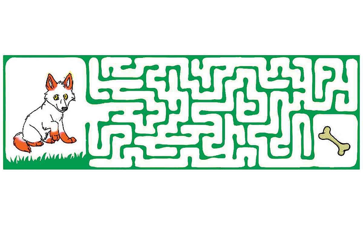 வழி காட்டுங்கள்