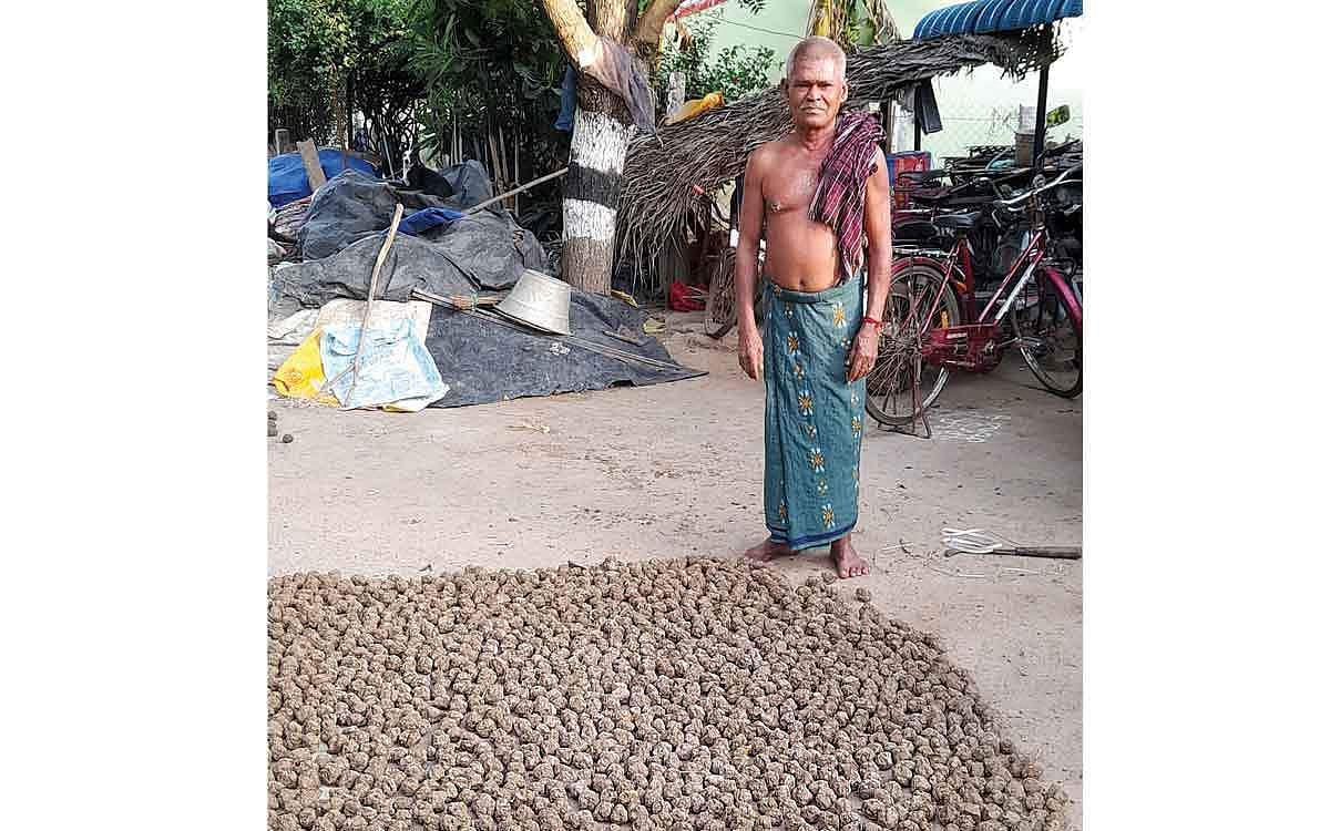 உப்பு நீரைப் போக்கும் களி உருண்டைகள்!