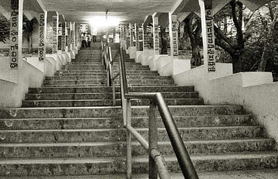 திருமலை மலைப் பாதையில் தொடரும் சிறுத்தைகள் நடமாட்டம்: சிறுவா்,சிறுமியர் மலையேற அனுமதியில்லை!