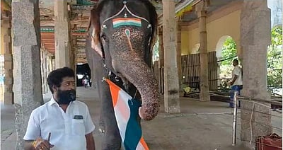 சுதந்திர தினத்தைக் கொண்டாடிய ஆதி கும்பேஸ்வரர் கோயில் யானை!