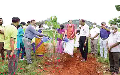 4 ஆண்டுகளில் 40 லட்சம் மரக்கன்றுகள்...