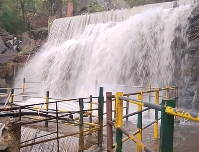 யானைகள் நடமாட்டம்: சுருளி அருவியில் குளிக்கத் தடை