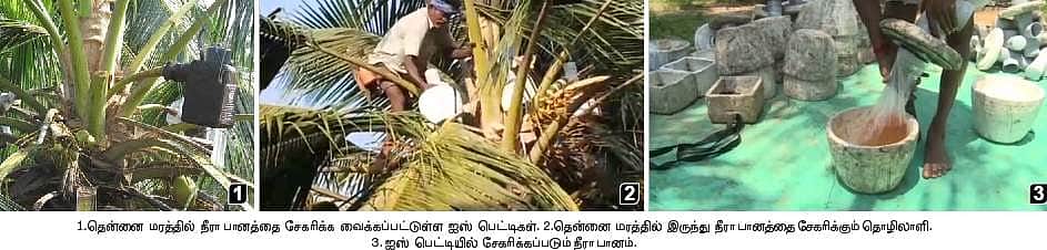 குறைந்துவரும் நீரா பான உற்பத்தி!